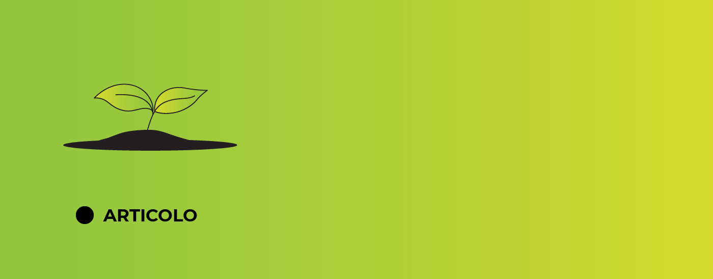 articolo